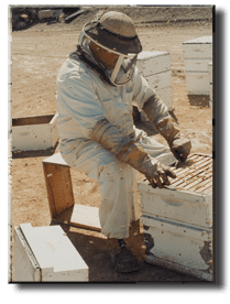 about heavenly honey