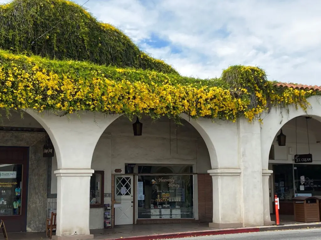 health benefits of raw unfiltered honey 2