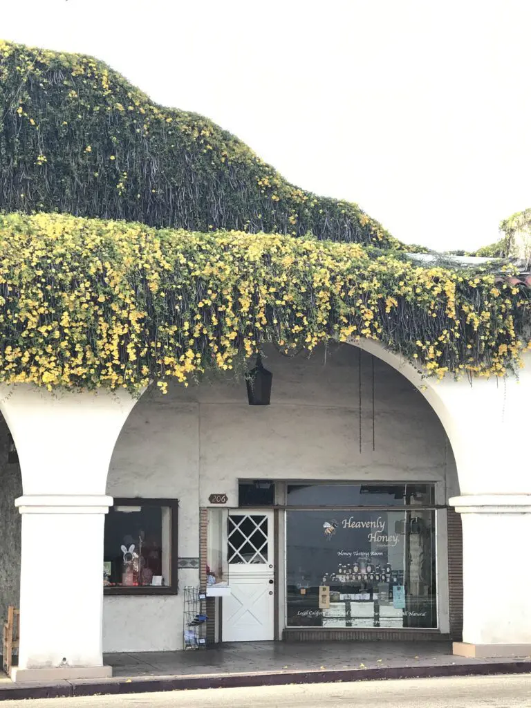 visit-heavenly-honey-company-of-ojai