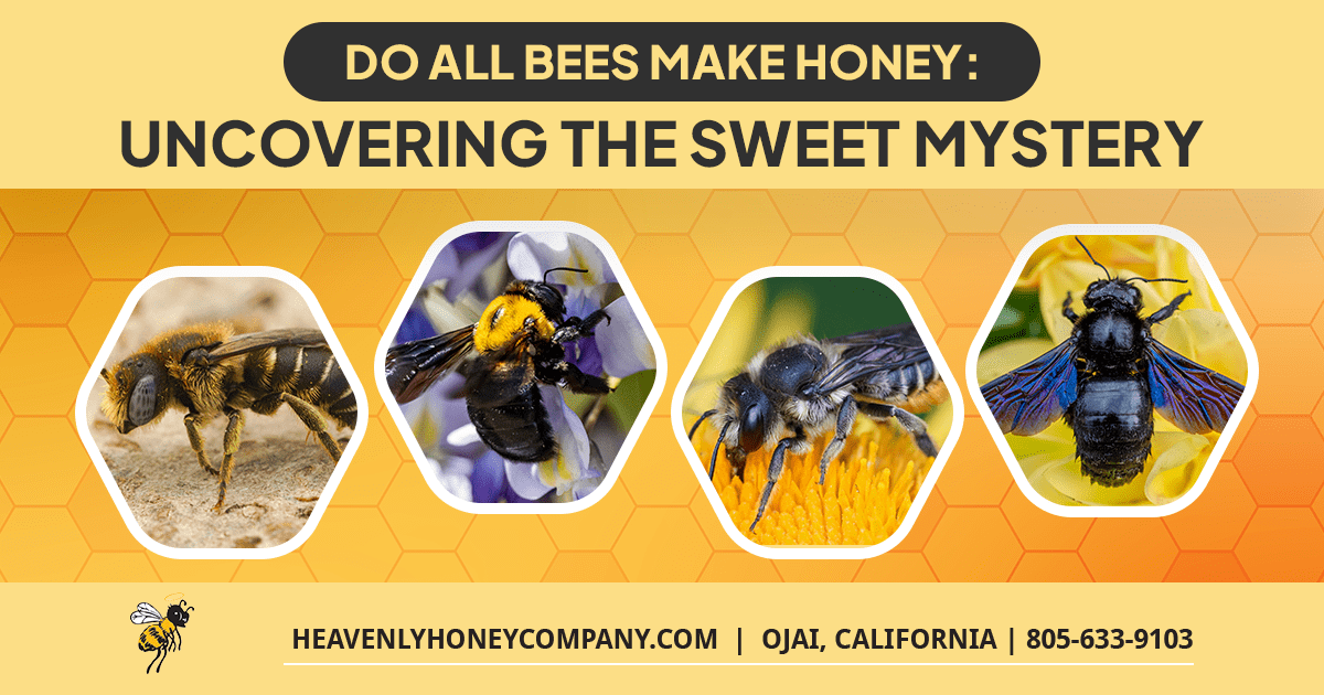 Do All Bees Make Honey