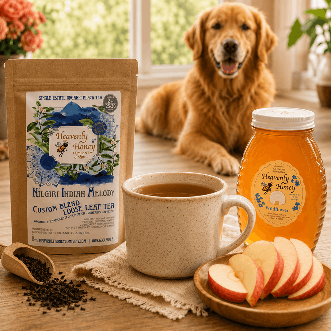 A cozy Valentine's Day setting featuring a steaming ceramic mug of amber Nilgiri tea resting next to a jar of raw Wildflower honey, a small wooden plate of fresh crisp apple slices, and a healthy dog sitting politely in the soft-focus, sunlit background.
