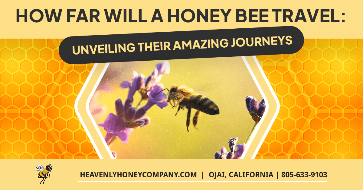 how far will a honeybee travel