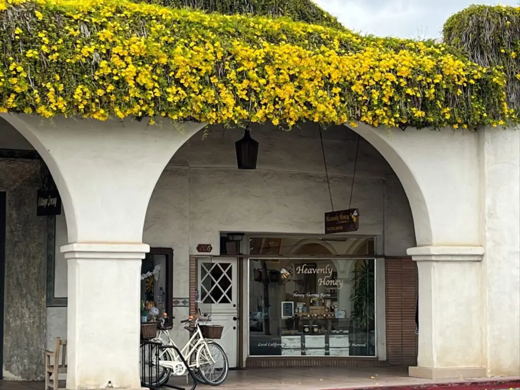 experience the best honey tasting room in ojai