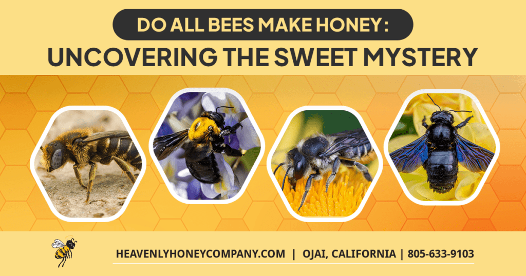 Do All Bees Make Honey